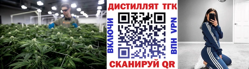 Купить закладки  Талица  Дистиллят ТГК THC oil 