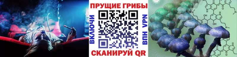 Псилоцибиновые грибы MAGIC MUSHROOMS  Купить где  Талица 